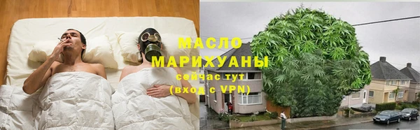 индика Мегион