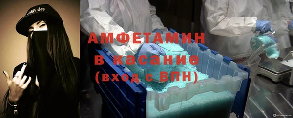 индика Мегион