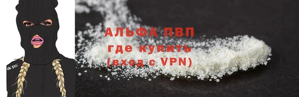 индика Мегион
