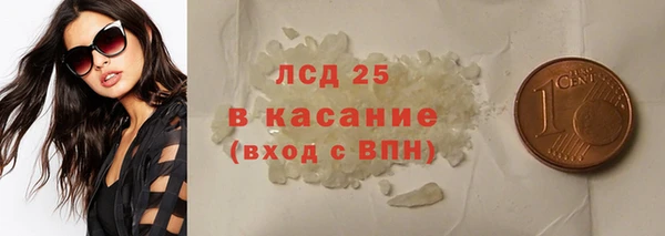 индика Мегион