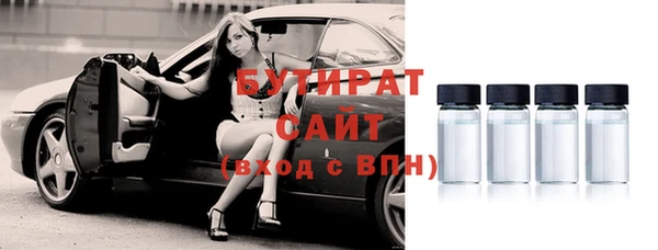 индика Мегион