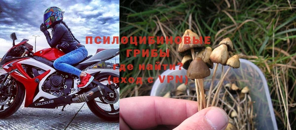 индика Мегион