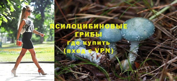 индика Мегион