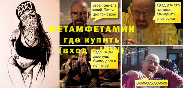 индика Мегион