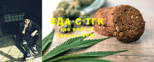 индика Мегион