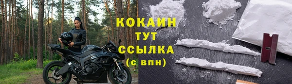 индика Мегион