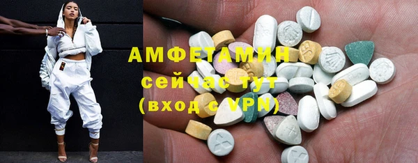 индика Мегион