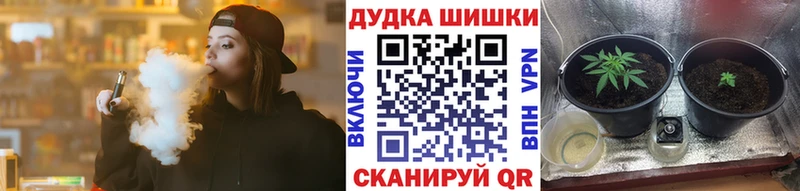 Шишки марихуана MAZAR  даркнет сайт  Чулым 